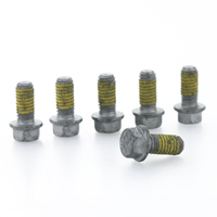 Mounting Bolts KTM (1 piece)