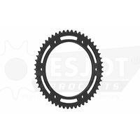 Sprocket Rear 428-53T Steel
