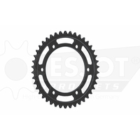 Sprocket Rear 525-42T Steel