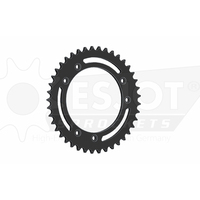Sprocket Rear 525-41T Steel