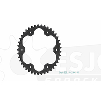 Sprocket Rear 525-41T Steel