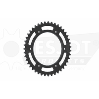 Sprocket Rear 520-43T Steel