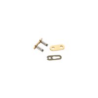 DID Chain - ERZ Race Non-Sealed Gold - 415 / Clip Link