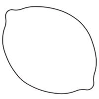 Clutch Cover Gasket