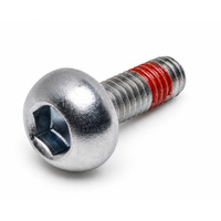 Brake Disc Bolt - M6  x 17mm - Each