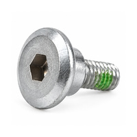 Brake Disc Bolt - M6 x 17mm / 20mm