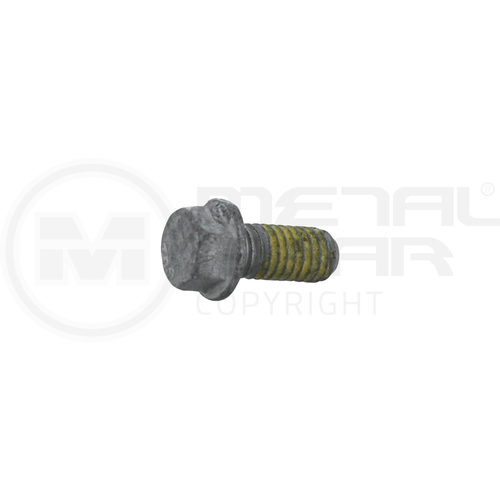 Brake Disc Rotor Rear Mounting Bolt (each)